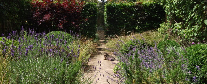 My garden in summer - vistas