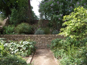 My garden in summer rear view