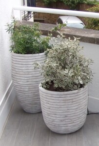 Ribbed curved container white