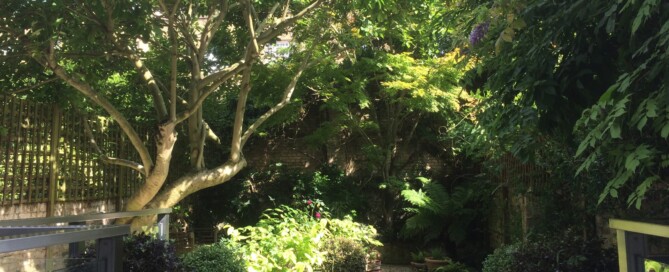 Contemporary gravel garden